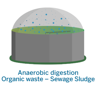 Biogas Plants